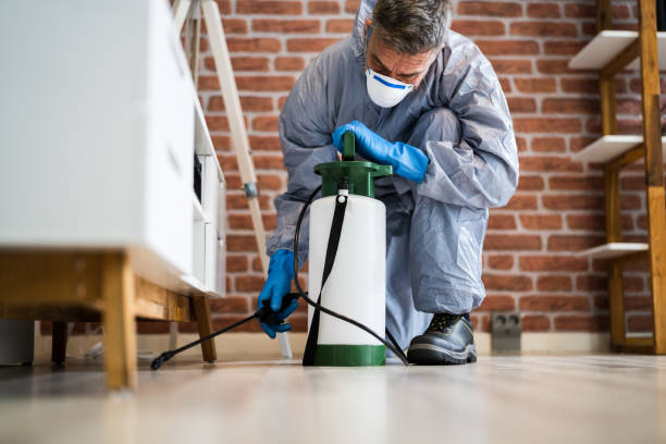 Best Fumigation Services  in Buena Vista, VA